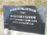 image of grave number 312257